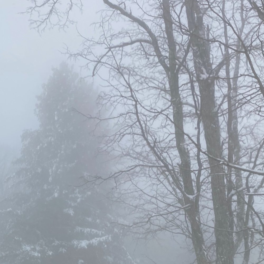 Meet your Posher, Yulia